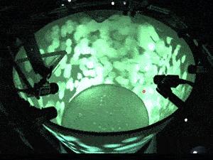 她很主动的跟我表白,好紧张好想表白