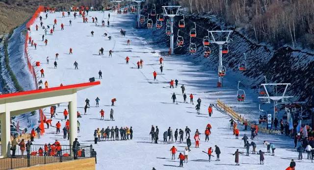 沧州渤海新区中捷产业园区项目 (河北中捷产业园区2020年工作安排)