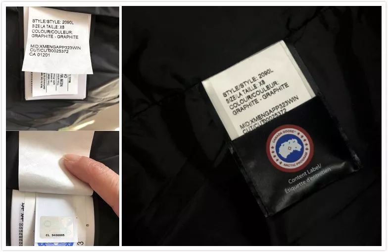 加拿大鹅和网易考拉,网易考拉的加拿大鹅同款