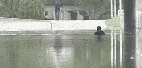 别再把炒菜废油倒水池了！后果很恐怖