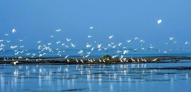 《中国改革报》聚焦洪湖变化透露出这些发展趋势