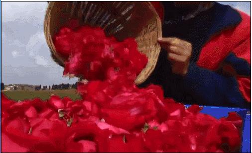 风靡北上广，排队2小时！地表最强潮饮店终于登陆西安了！