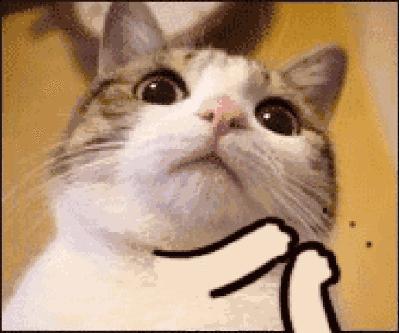 bbc外语工作,用英语工作的优缺点