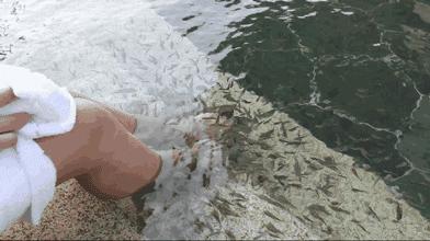 湛江蓝月亮火山温泉,湛江天冷泡温泉最好的地方