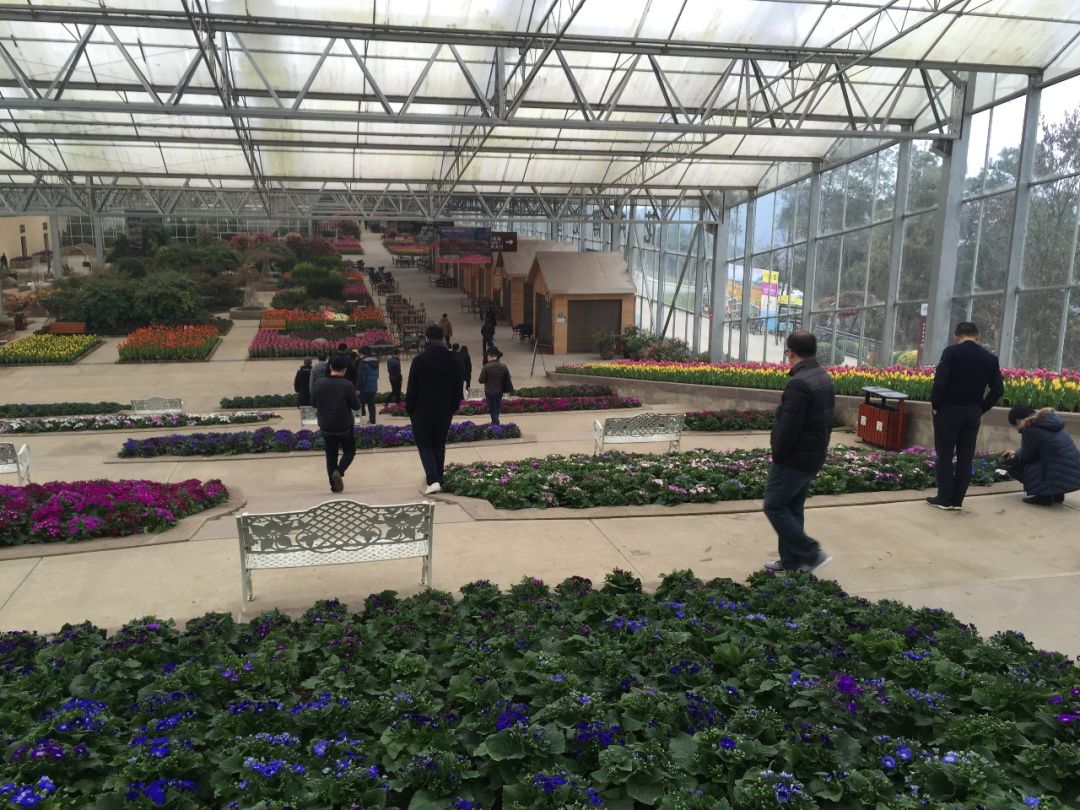 沙溪新区东部新城规划,沙溪村城市更新改造项目