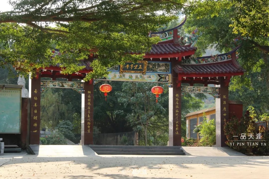 漳州大v排行,大v推荐传奇