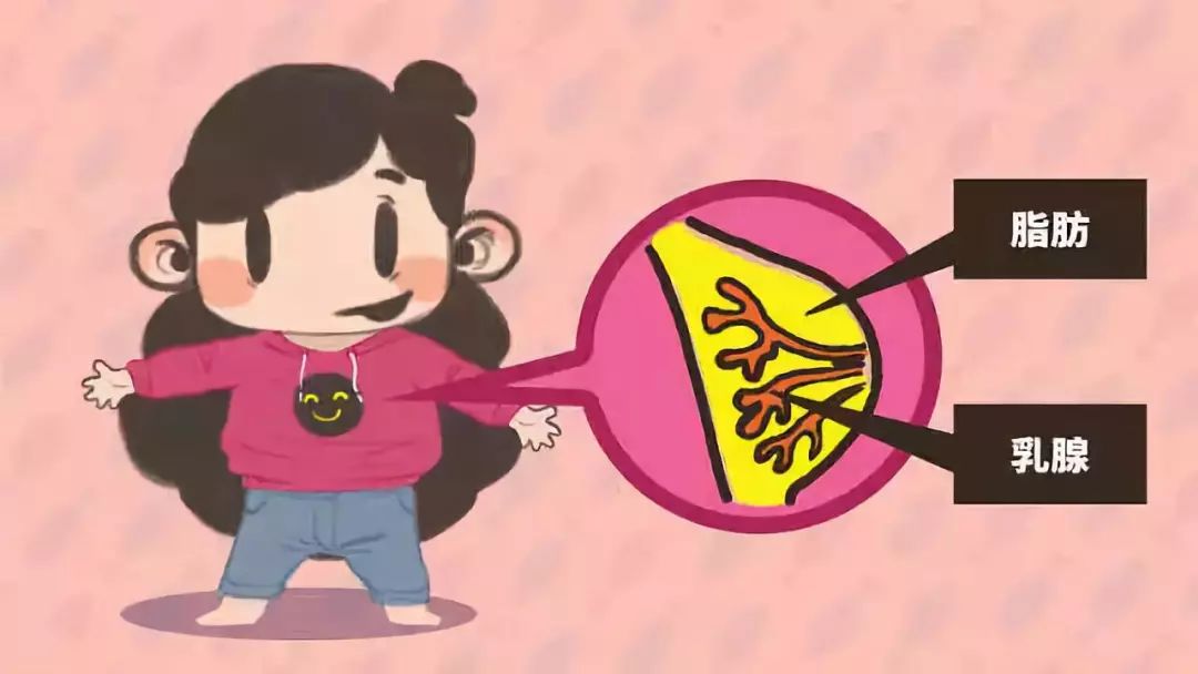 乳房按摩正规吗,专家说乳房按摩