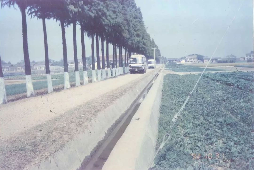 我是黎托，梦想直达雨花，幸福“黎”你很近！