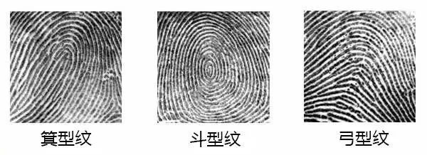 指纹解锁是什么原理,指纹锁为什么什么指纹都能识别