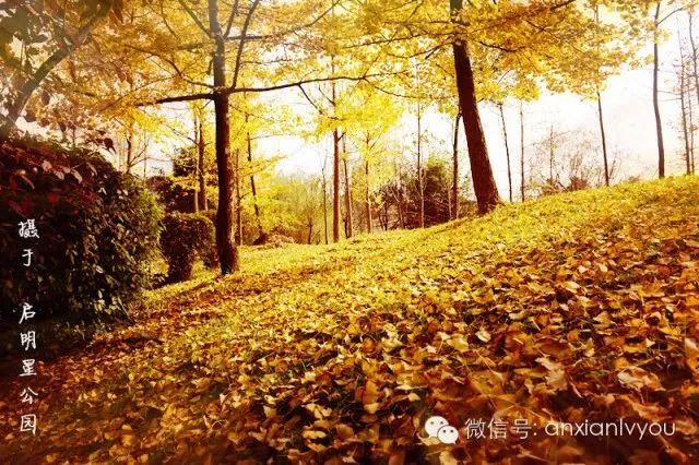 儿童哪个季节可以泡温泉,儿童冬天泡温泉攻略