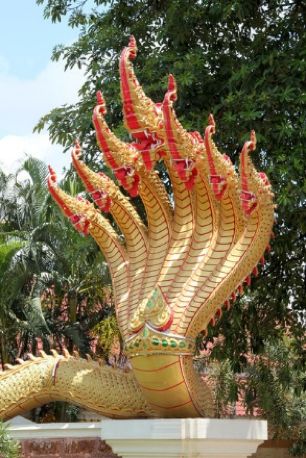 越南十二生肖为什么没有兔而是猫,十二生肖没有猫的动物