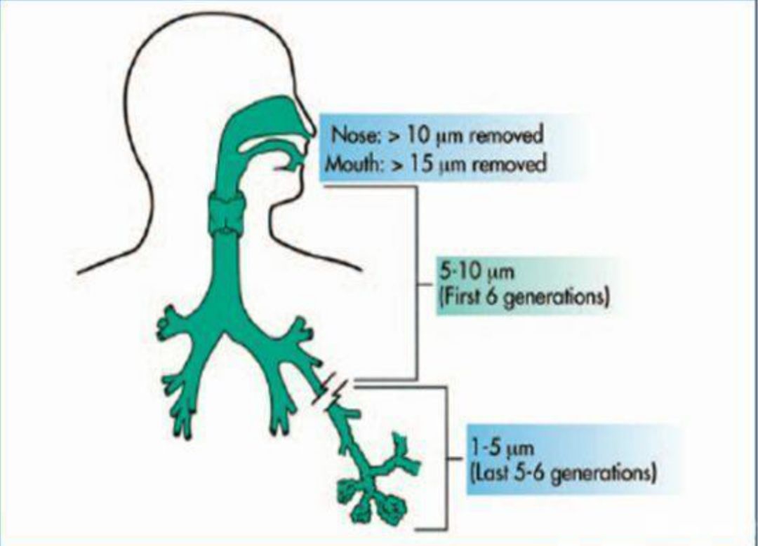 雾化吸入用药误区,雾化吸入10大常见误区