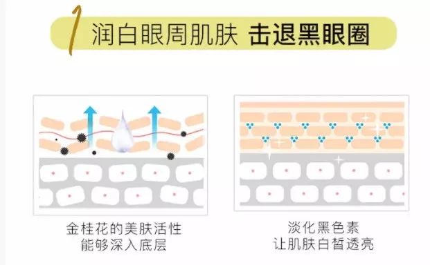 淡纹淡黑眼圈的眼膜推荐,眼纹黑眼圈眼膜推荐