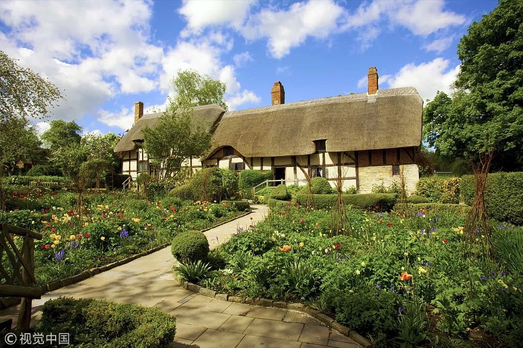 被前中国首富盯上的这块“蛋糕”距世界一流还有多远？｜凤旅观察