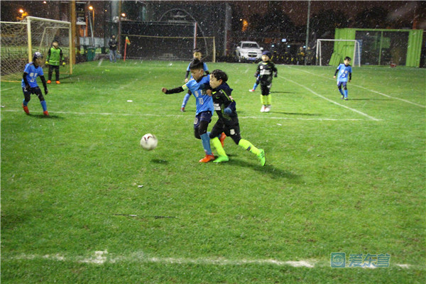 东营娃入选“中国足球小将”英超球探这么评价他~