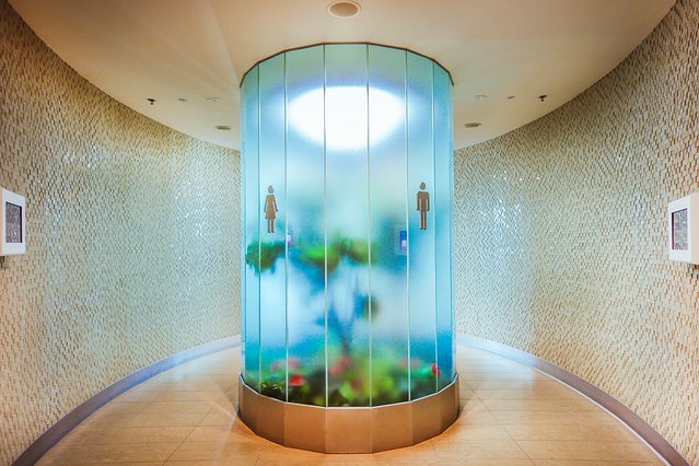 樟宜机场出境攻略,樟宜机场游玩攻略