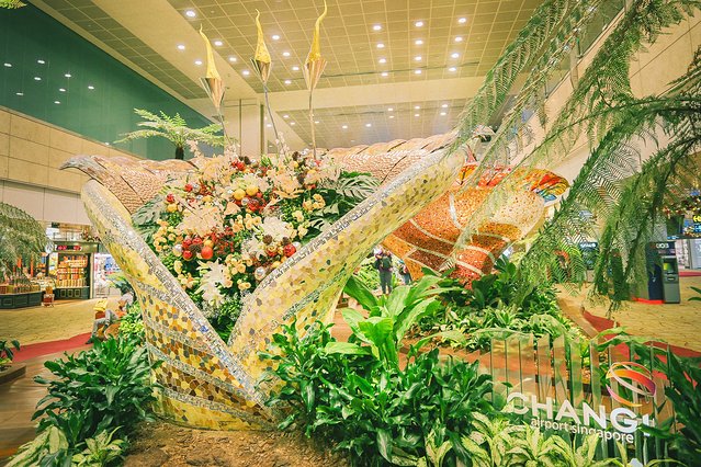 樟宜机场出境攻略,樟宜机场游玩攻略