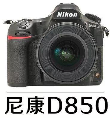 新手必须掌握的7个微距摄影技巧,光影留情谈微距拍摄技巧