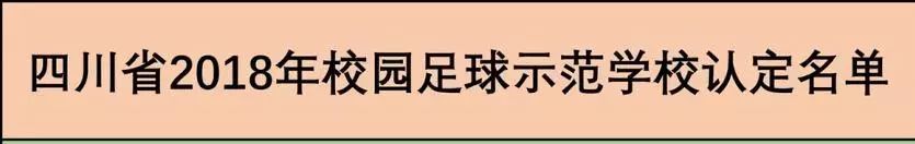 南充嘉陵区校园足球联赛,四川南充青少年校园足球联赛