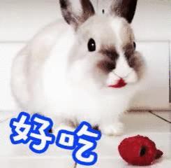 被刺扎到手,被扎一刀预示什么