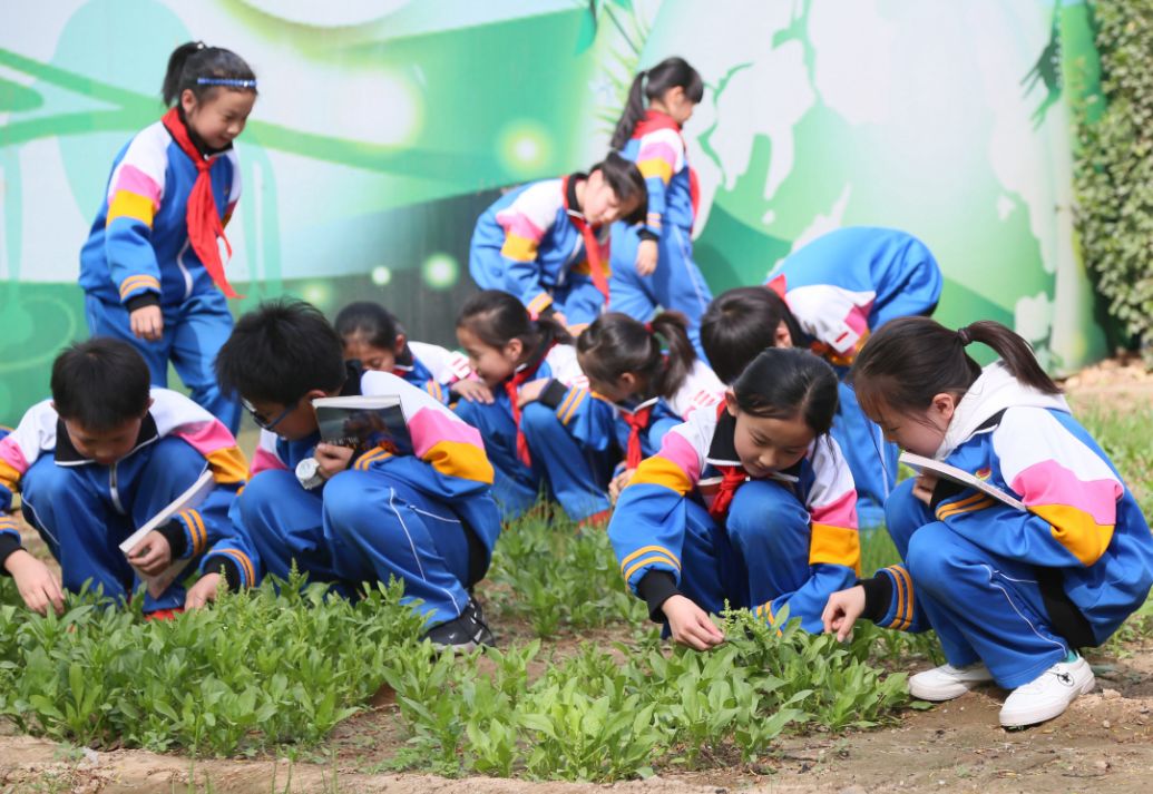 这所以“五一”命名的小学,究竟与劳动有哪些不解之缘?