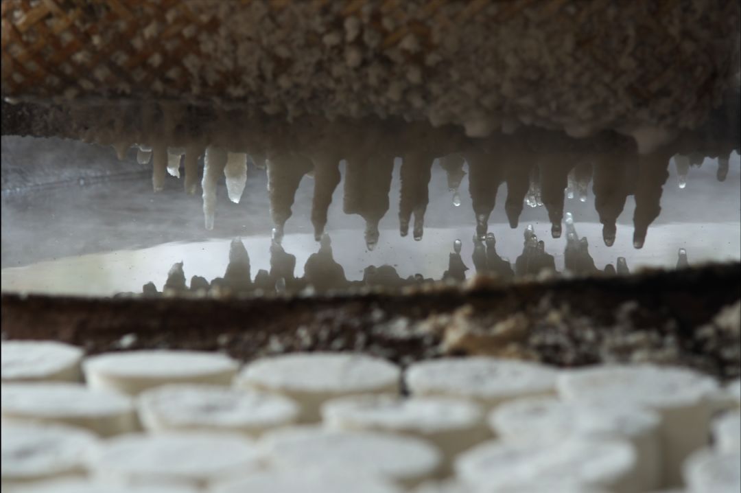 云南火腿分布图,云南火腿室内图片