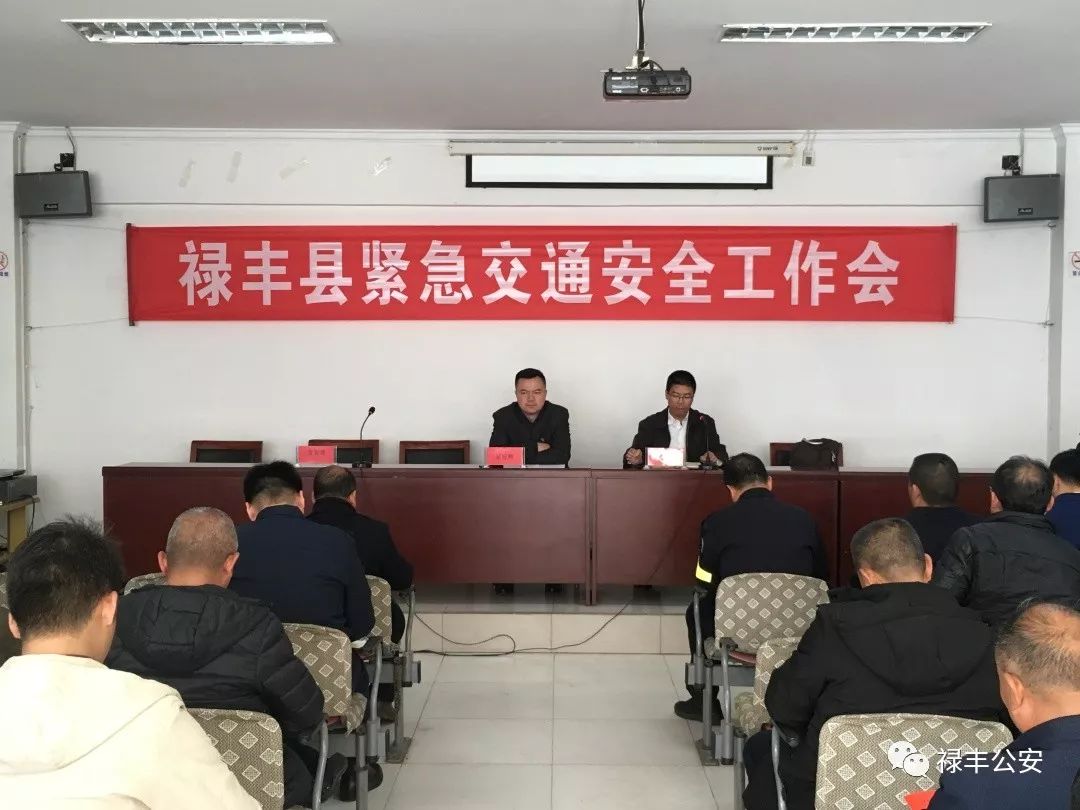 「平安五号」禄丰县人民政府召开2019年第一季度县预防道路交通事故领导小组暨县消防安全委员会联席会议
