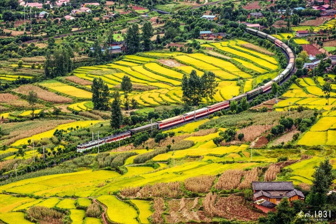 中国性价比最高的7张火车票