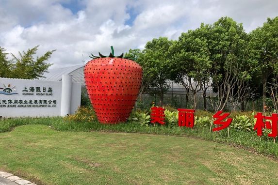崇明好的民宿树屋,上海崇明农庄民宿