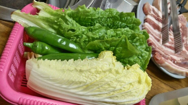 济州岛自由行包车旅游攻略,济州岛一日游包车