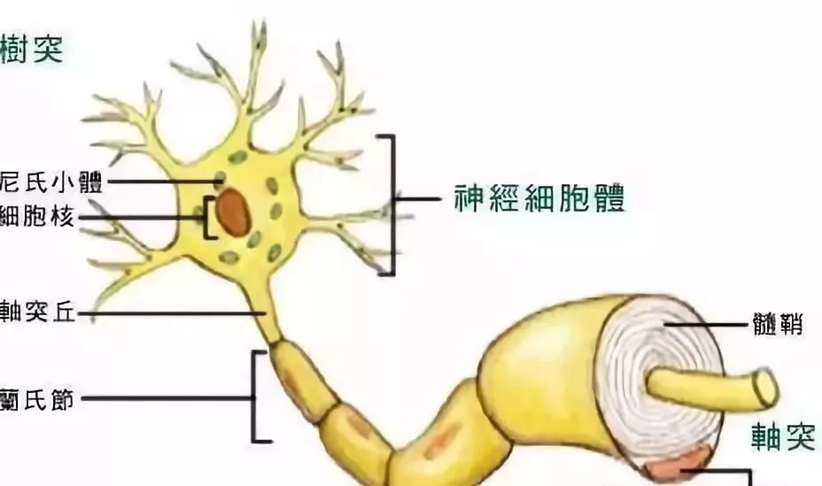 康复锻炼手麻是怎么回事,手麻的治疗思路这5个点要记住