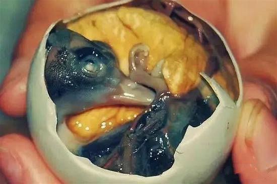 外国街头卖火爆的小吃,让外国人惊呆的中国小吃