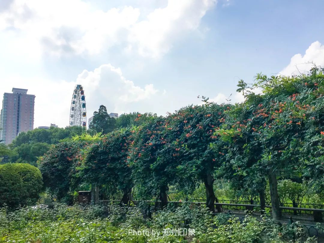 郑州欢迎你2018,2020郑州招才引智大会