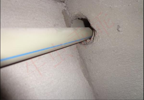 房间里进了老鼠什么办法抓最好,住高层老鼠怎么消灭