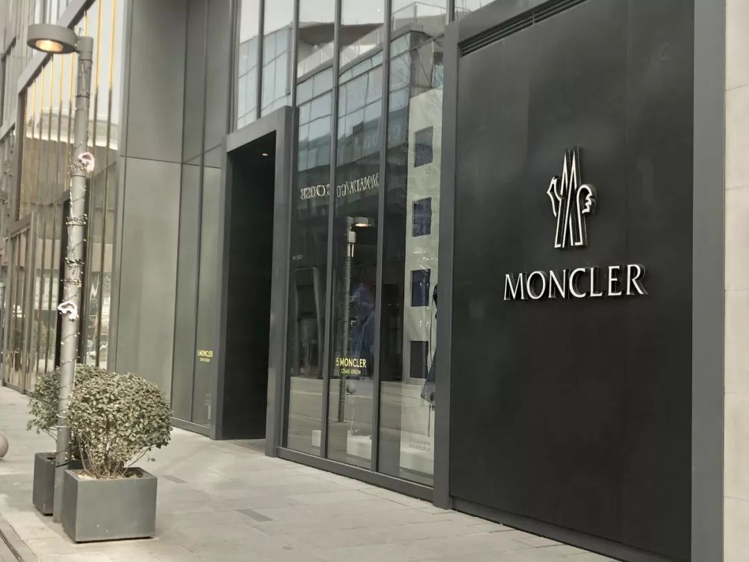 加拿大鹅遍布大街小巷,加拿大鹅北京街