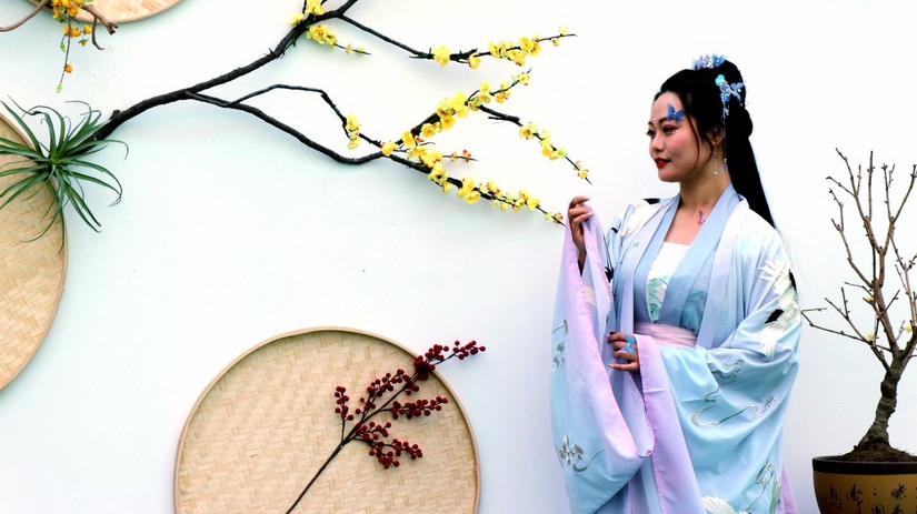 鄢陵中原花木博览会门票,鄢陵中原花木博览园电话