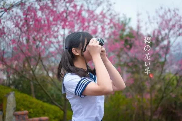 2月赏花好去处,油菜花4-5月旅游区域推荐