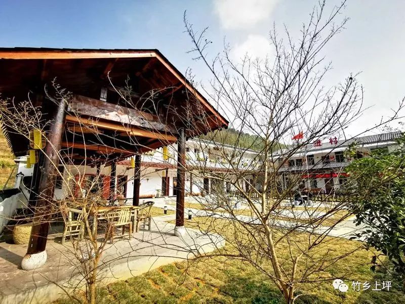 福建树屋酒店推荐,福建特色树屋民宿度假屋特点