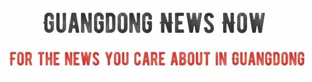 广州市天河区狗狗免费打狂犬疫苗,广州黄埔狗狗狂犬疫苗免费打