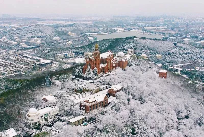 「收藏」不能错过的小美好！上海12个月行走指南来啦