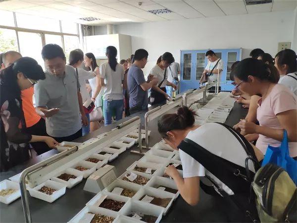 泰安市泰山区卫生健康局工作计划,年度卫生保健工作总结