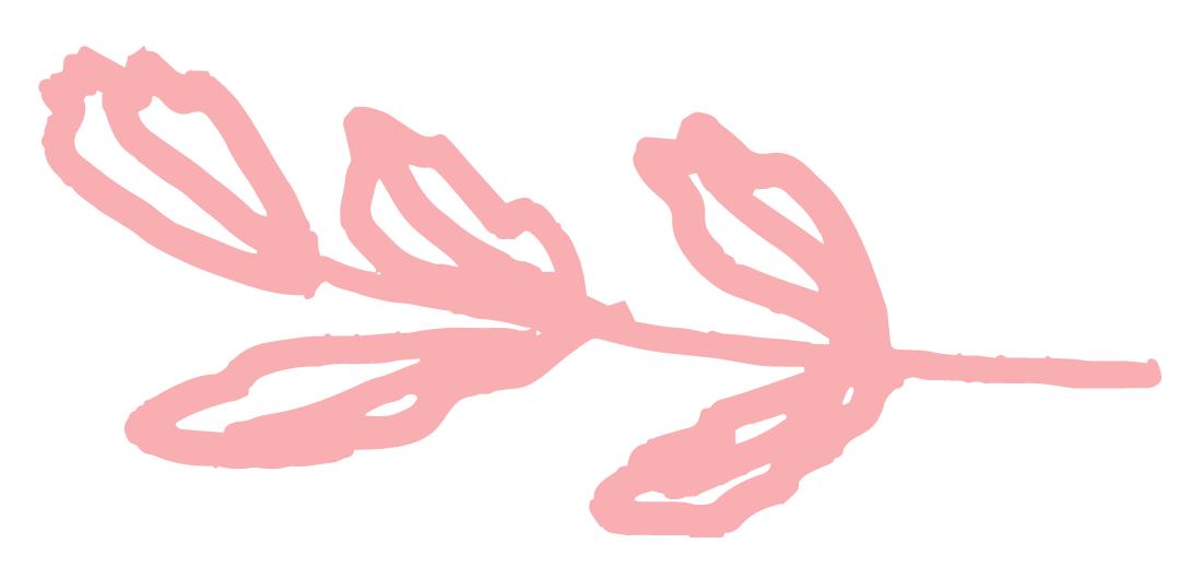 浙大网红校友,浙大创业成功的校友