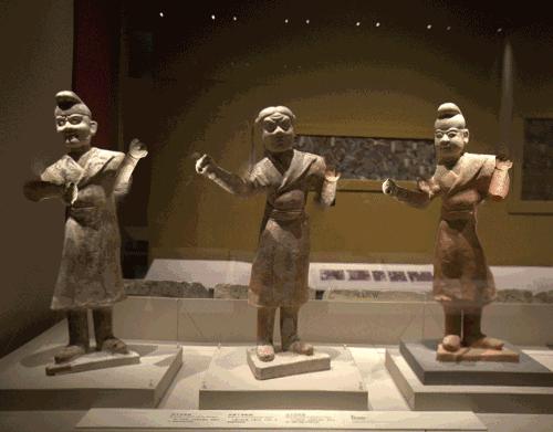 青岛博物馆有哪些可以免费,青岛海洋博物馆免费活动日期