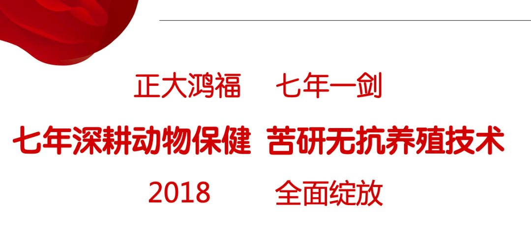 专注于动物保健非抗生素领域研发，致力成为此领域世界一流制造企业——石家庄正大鸿福集团2018-2019年度总结大会记
