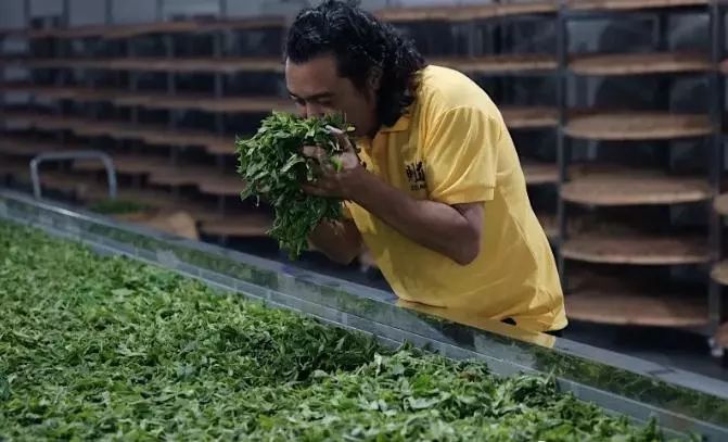 曼松名气大,曼松为什么这么贵