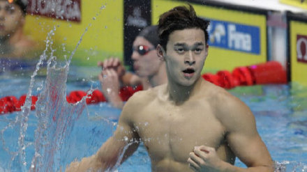 张家口新闻1频道,张家口新闻早播报