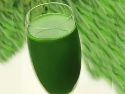 春节一般都买啥礼物合适,春节有哪些不贵有心意的礼物