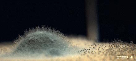 一家三口因这样吃大蒜丧命,一家吃大蒜丧命是真的吗