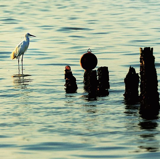 带你玩转深圳攻略在这里,深圳一日游详细攻略大全最新