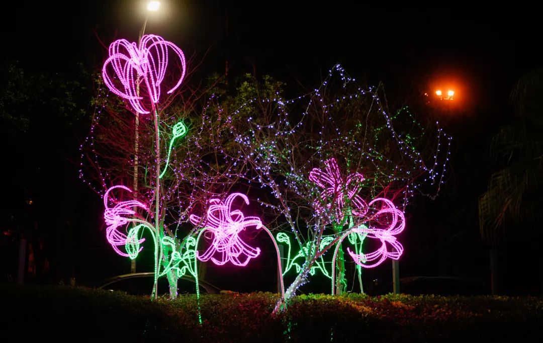番禺夜景好玩的地方,广州增城网红打卡地夜景